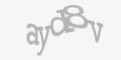Kod antyspamowy